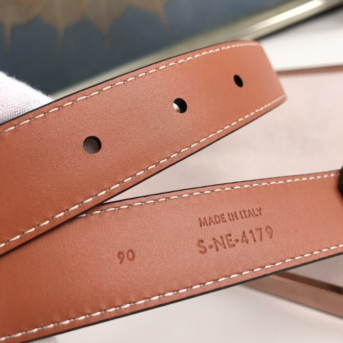 Celine Triomphe Belt Brown - Image 5