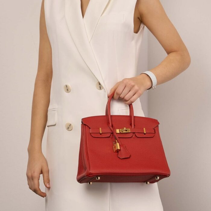 Hermes Birkin 25 Bag Togo Rouge Vermillon 25cm - Image 6