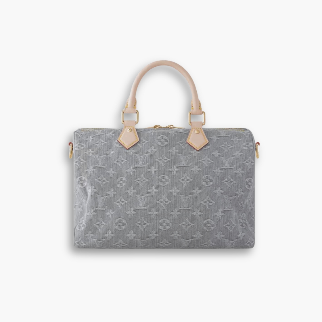 Louis Vuitton Speedy Soft 30 Washed Gray 30cm M13344