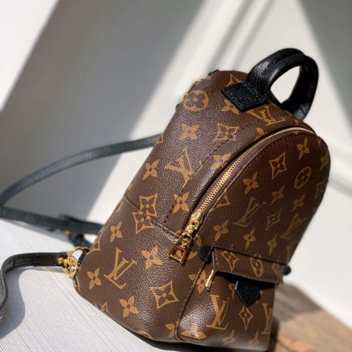 Louis Vuitton Monogram Palm Springs Mini Backpack Brown 22cm M44873 - Image 2