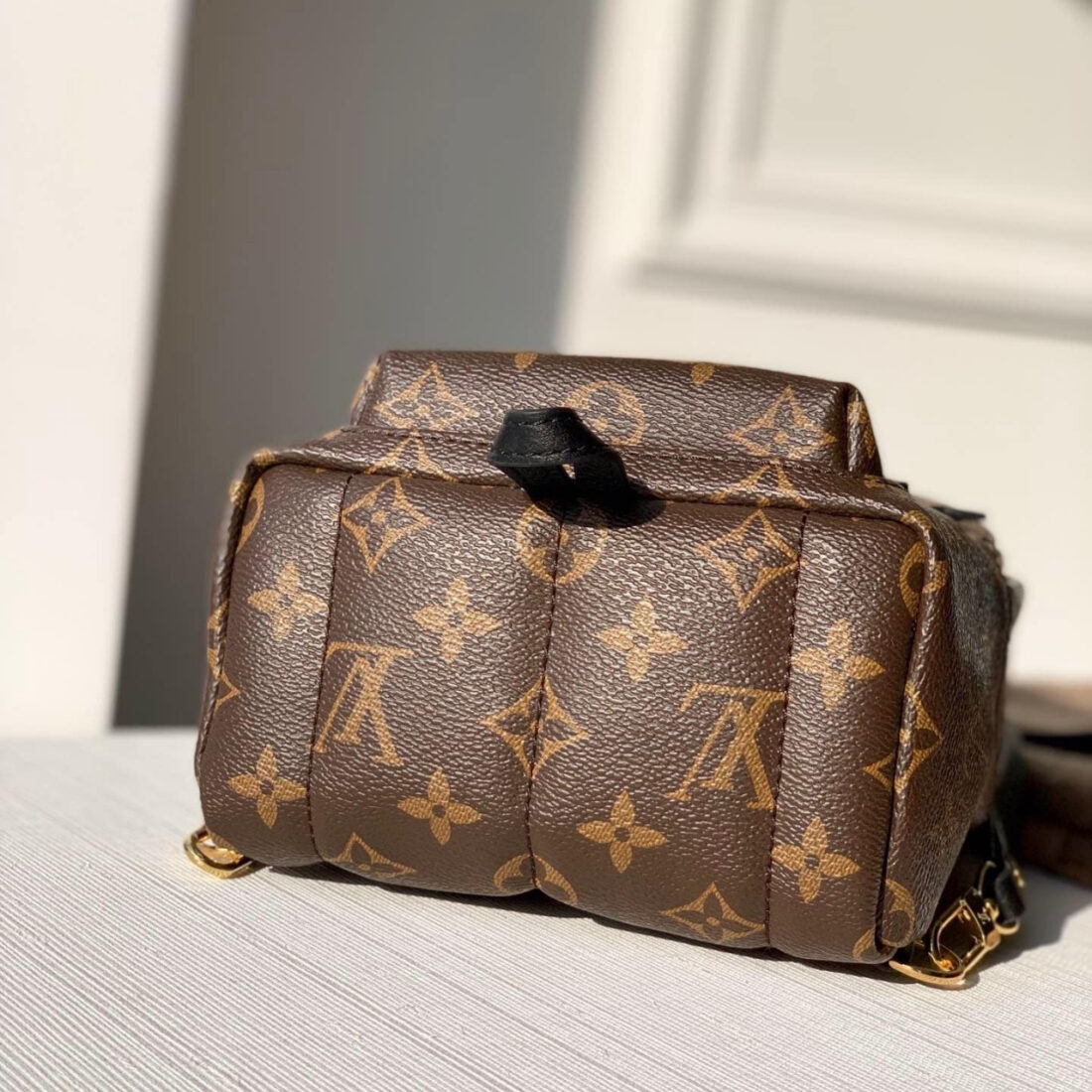 Louis Vuitton Monogram Palm Springs Mini Backpack Brown 22cm M44873 - Image 3