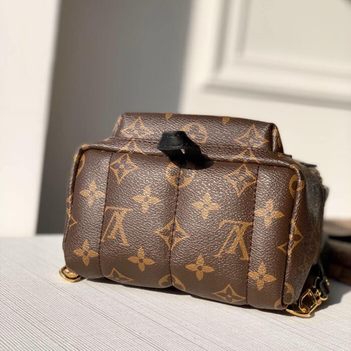 Louis Vuitton Monogram Palm Springs Mini Backpack Brown 22cm M44873 - Image 3
