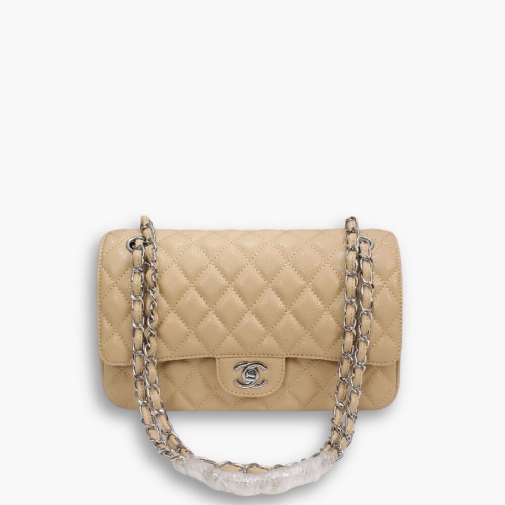 Chanel Classic Double Flap Bag Beige With Silver Hardware 25Cm